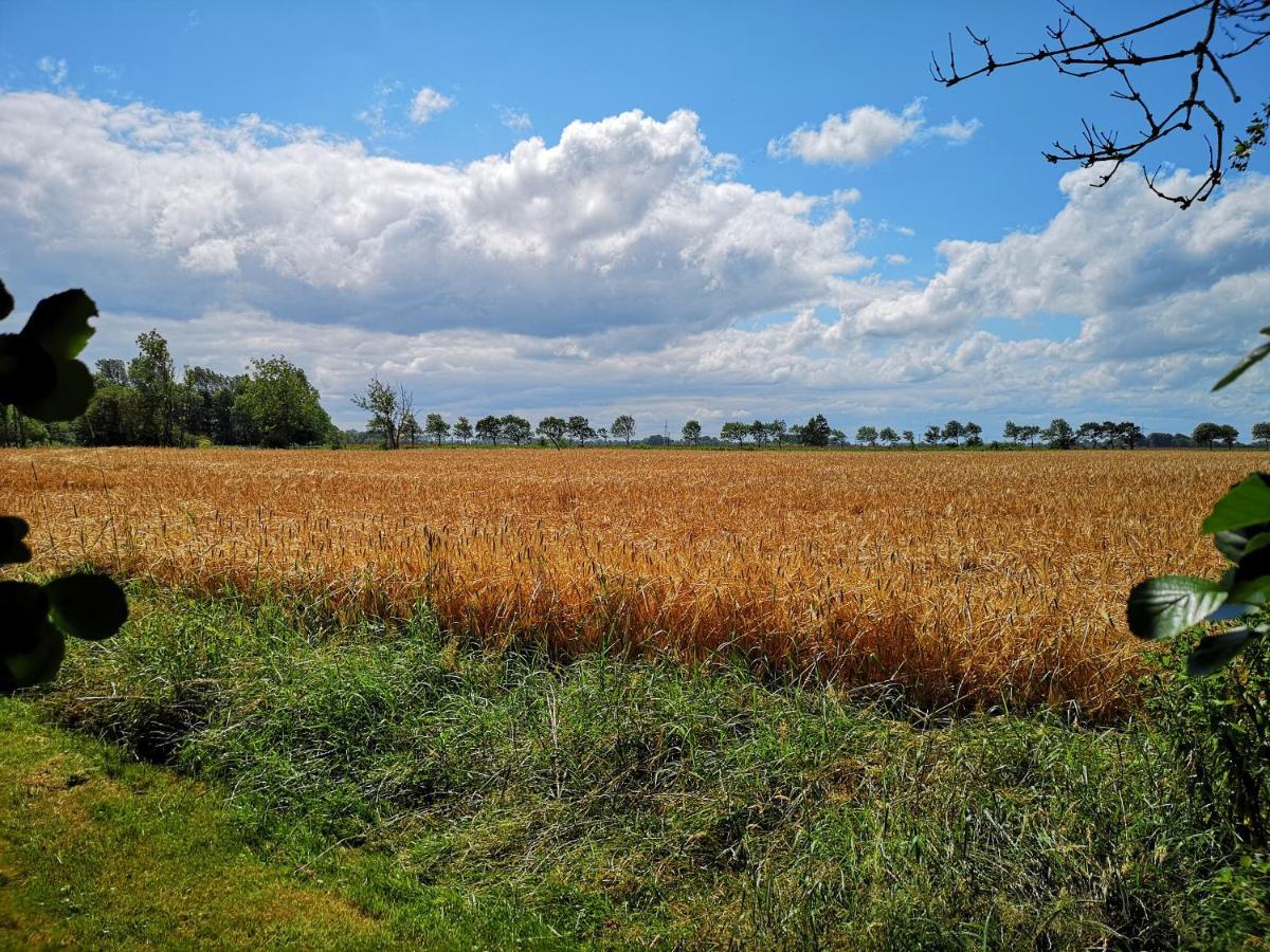 Landhaus Kaisershof - Ferienwohnungen Auf Dem Land Schillig Eksteriør billede
